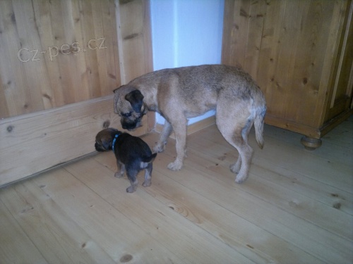 prod�m �t�n�