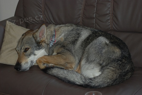 Jen do dobr�ch rukou