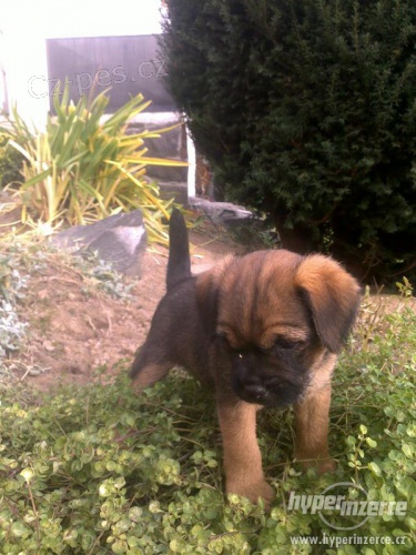 border teri�r �t��ata