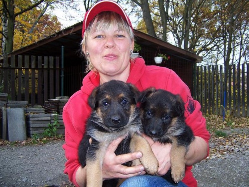 Prod�m �t��ata N�meck�ho ov��ka s PP