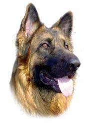 Letn� v�cvikov� t�bor 2012