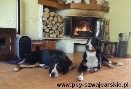 Nab�dka �t��at V�SP