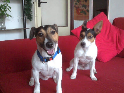 Nejkr�sn�j�� JRT ke kryt�!