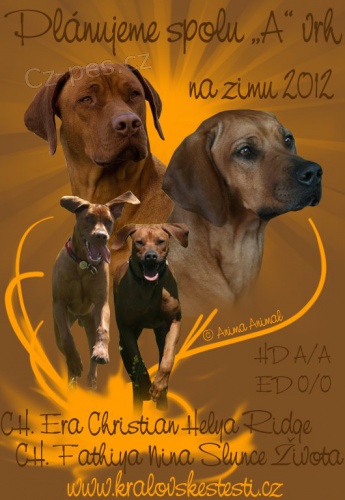 Rhod�zsk� Ridgeback �t��ata s PP