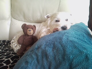 M�me West�ka na kryt�!!!