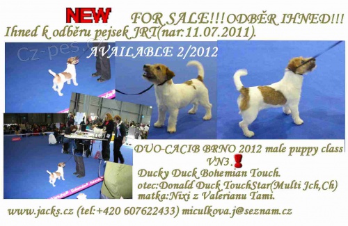 Kr�sn� JRT s PP k odb�ru!!