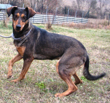  Fene�ka Lucinka �ek� na nov�ho p�ne�ka