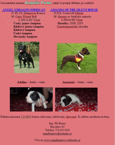 Staford��rsk� bulterier