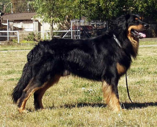 Zad�m �t��ata hovawarta s PP