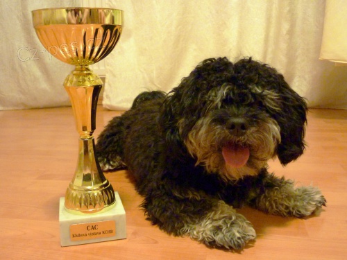 Rusk� barevn� bolonka