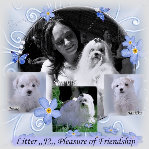 MALT�Z��EK S PP