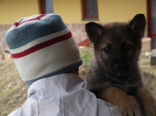 N�meck� ov��k bez PP