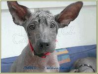 Peru�nsk� nah�� velk�