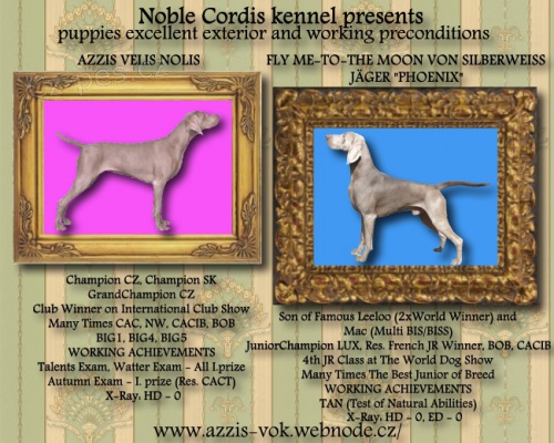 V�marsk� oha� - �t��ata