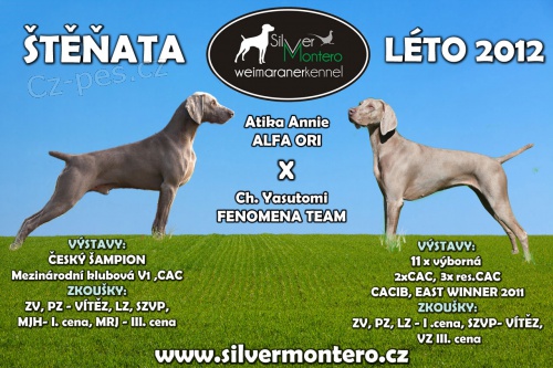 CHS Silver Montero zad� �t��ata v�marsk�ho oha�e s PP - odb�r �ervenec - st�le mo�n� rezervace!