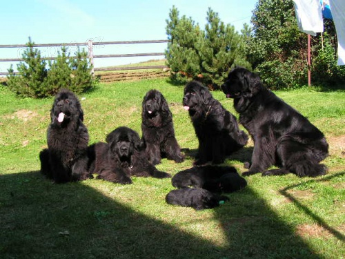 V�kendov� �kolka �t��at