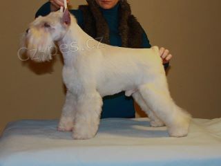 Kn�ra� mal� b�l�