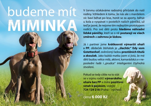 V�marsk� oha� - �t��ata