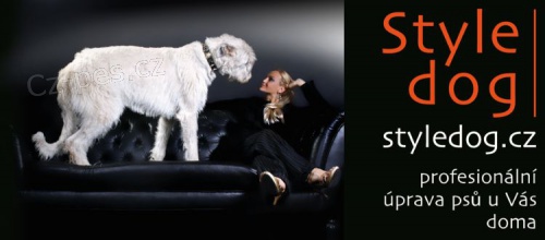 St��h�n� ps� Olomouc a okol�