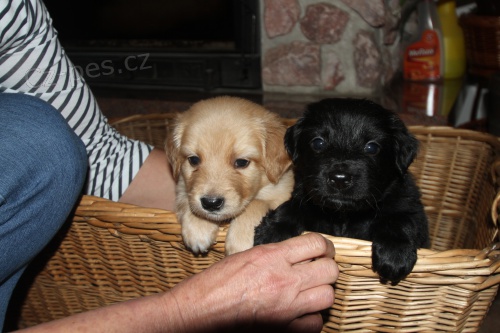 �t�n� hovawarta