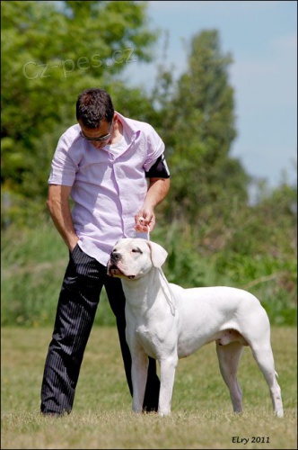 Argentinsk� doga - �t��ata