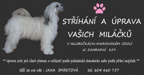 St��h�n� a �prava ps� v Olomouci