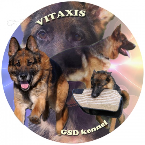 Kynologick� grafika