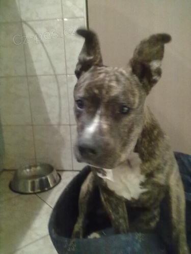 Prod�m 9ti m�s.�t�n�