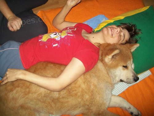 Zkou�ky z canisterapie