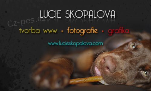 Tvorba www str�nek