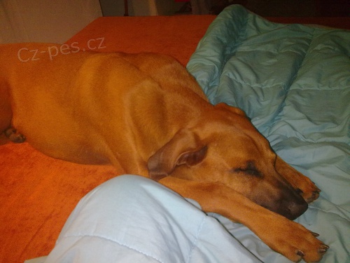 Prod�m 9.m�s.�t�n� s PP