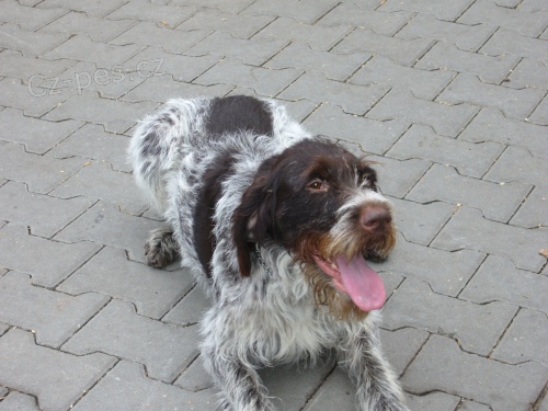 Edita Z Vl�et�nsk�ch rybn��ek