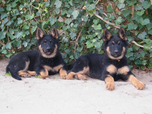 perspektivn� �t���tka