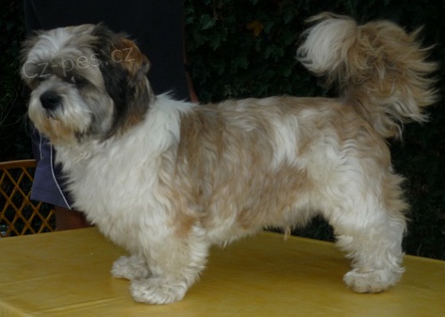 Nab�z�m ke kryt�