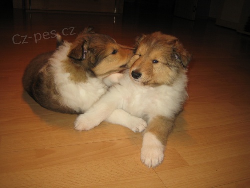 p�kn� �t���tka