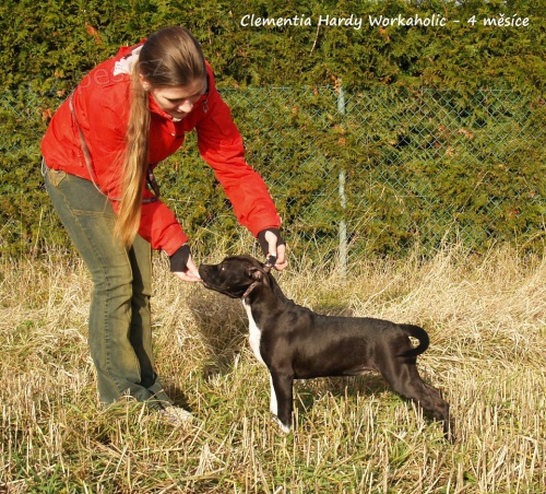 �ern� fene�ka k prodeji s pp