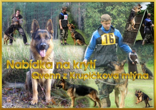 Nab�z�me na kryt� n�meck�ho ov��ka s PP, typ ,,REX,,