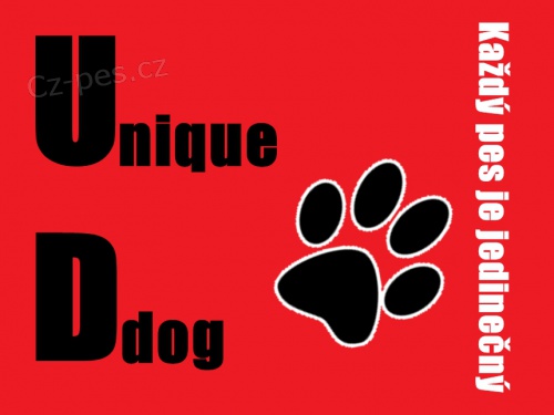 V�cvikov� �kola Uniqe dog - Ji�n� �echy