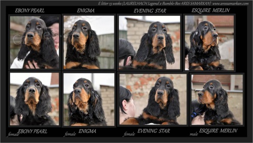 Gordonsetr �t��ata s PP k odb�ru