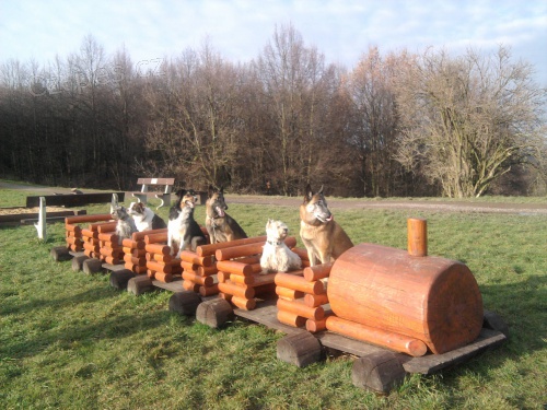 V�cvik �t���tek a ps�