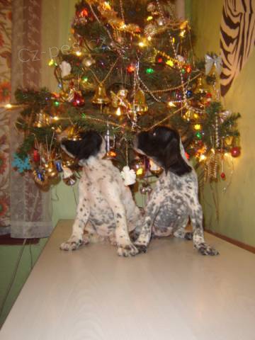 Auvergnesk� oha�