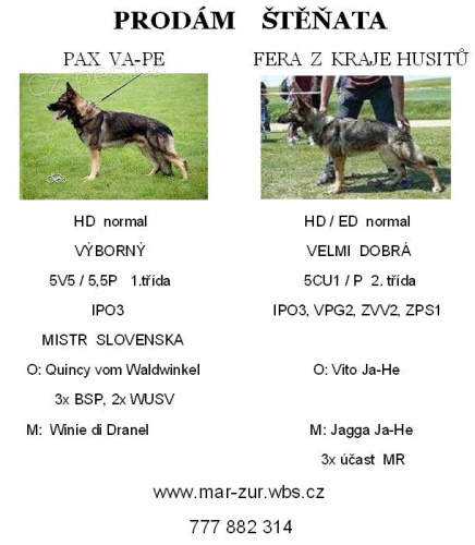 N�meck� ov��k - �t��ata s PP