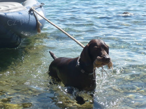 Dovolen� a vodn� cvi�en� v Chorvatsku