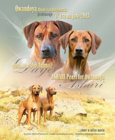 �t���tka Ridgeback s PP z unik�tn�ho spojen�