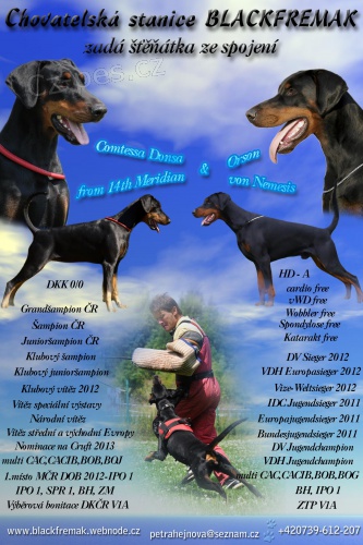 Dobrman - �t��ata s PP