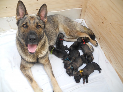 �t��ata NO s PP