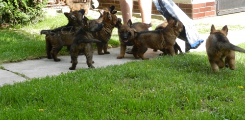 �t��ata NO s PP