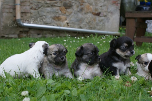 �T���TKA �IVAVY