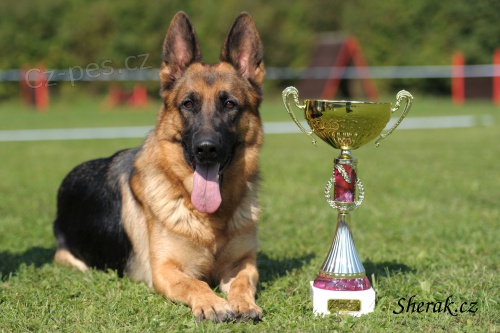 V�stava a bonitace Teplice