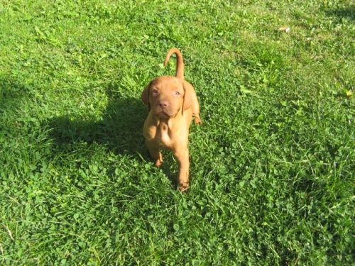 �t�n� Ma�arsk�ho oha�e